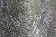 Acklington fibreglass roof work